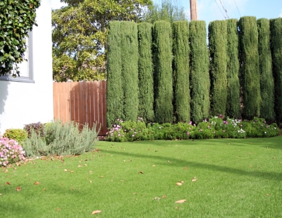 Green Lawn Franklin Square, New York Landscape Design, Front Yard Design