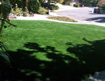 Green Lawn Oildale, California Garden Ideas, Front Yard Landscape Ideas