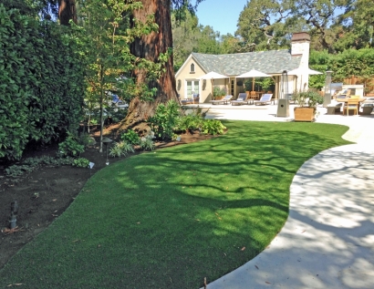 Plastic Grass Altamonte Springs, Florida Home And Garden, Commercial Landscape