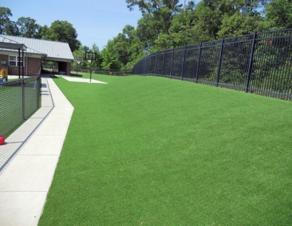 Plastic Grass Apopka, Florida Landscape Design, Commercial Landscape