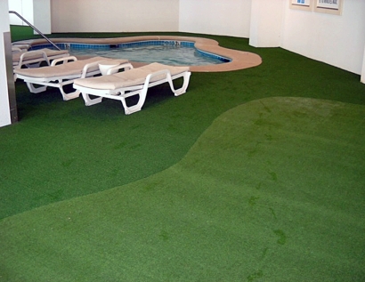 Plastic Grass Dalton, Georgia Design Ideas, Swimming Pools