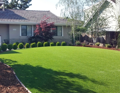 Plastic Grass Danville, California Design Ideas, Front Yard Landscaping