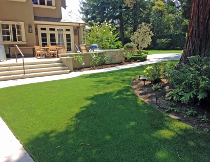 Plastic Grass Lake Ridge, Virginia Roof Top, Backyard Ideas