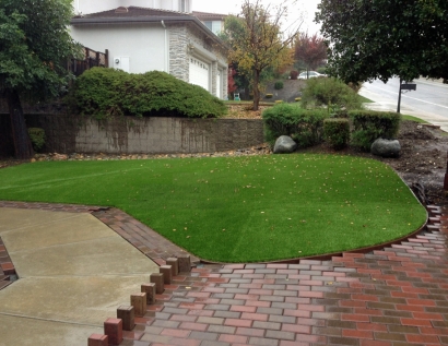 Plastic Grass Lawndale, California Backyard Deck Ideas, Backyard Garden Ideas