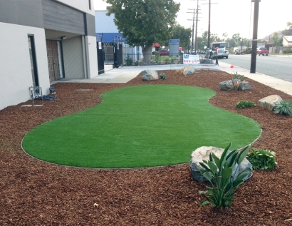 Synthetic Grass Cost Issaquah, Washington Landscaping Business, Commercial Landscape