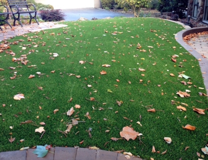 Synthetic Grass Cost Pikesville, Maryland Landscape Rock, Front Yard Landscaping