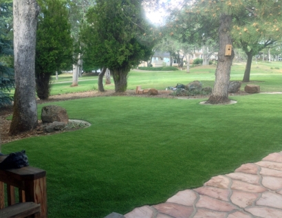 Synthetic Grass Cost South Valley, New Mexico Lawn And Garden, Small Front Yard Landscaping