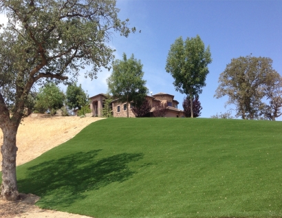 Synthetic Grass El Dorado Hills, California City Landscape, Front Yard Ideas