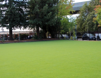 Synthetic Grass Grants Pass, Oregon Rooftop, Commercial Landscape