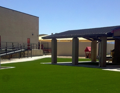 Synthetic Grass Kennesaw, Georgia Roof Top, Commercial Landscape