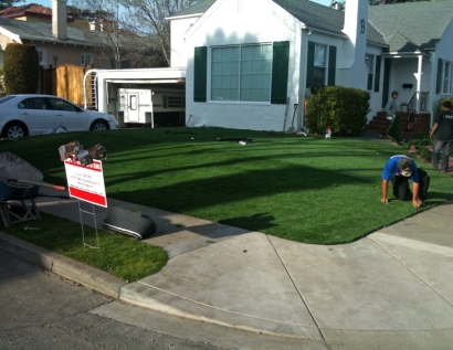 Synthetic Grass North Olmsted, Ohio Landscape Photos, Landscaping Ideas For Front Yard