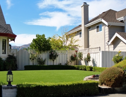 Synthetic Grass Royal Palm Beach, Florida Rooftop, Front Yard Ideas