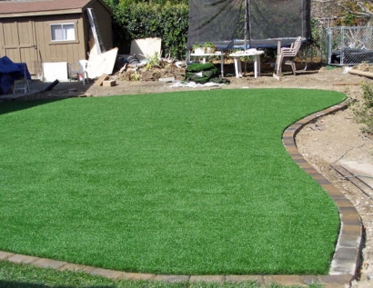 Synthetic Lawn Cleburne, Texas Rooftop, Small Backyard Ideas