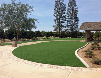 Synthetic Turf East Florence, Alabama Design Ideas, Front Yard Design