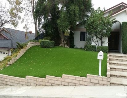 Synthetic Turf Hollister, California Rooftop, Front Yard Landscaping Ideas