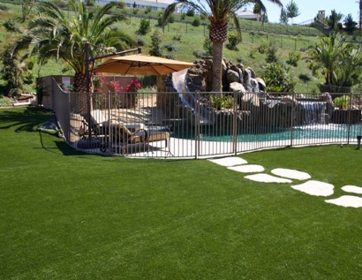 Synthetic Turf Jeffersonville, Indiana Garden Ideas, Pool Designs