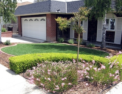 Synthetic Turf Mehlville, Missouri Roof Top, Small Front Yard Landscaping