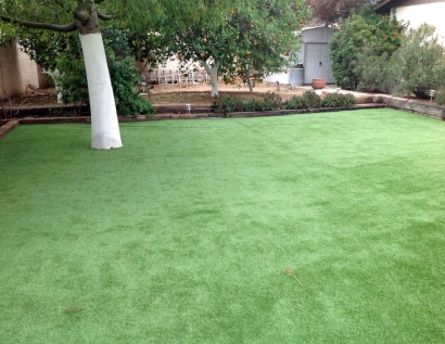 Synthetic Turf Merrillville, Indiana Landscaping Business, Backyard Landscaping