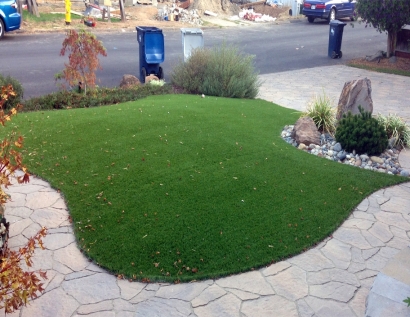 Synthetic Turf North Royalton, Ohio Garden Ideas