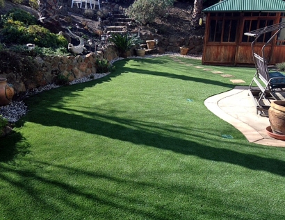 Synthetic Turf Round Lake Beach, Illinois Rooftop, Backyard Garden Ideas