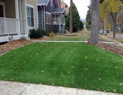 Synthetic Turf Supplier Covington, Kentucky Backyard Playground, Landscaping Ideas For Front Yard