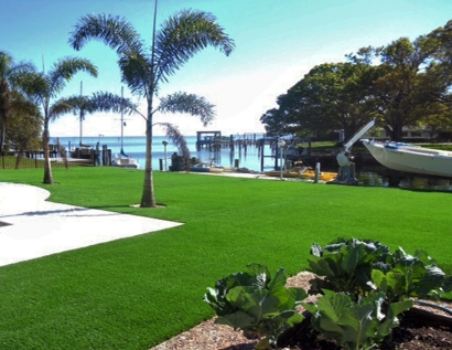 Turf Grass Cutler Bay, Florida Garden Ideas, Backyard Pool