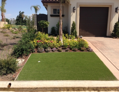 Turf Grass Pacifica, California Backyard Playground, Front Yard Design