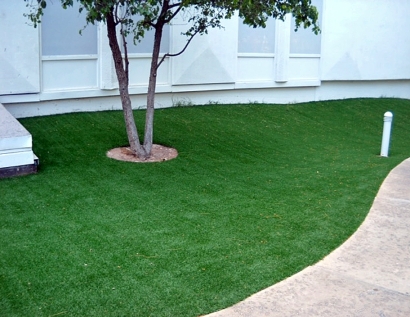 Turf Grass Petersburg, Virginia Landscape Ideas, Commercial Landscape