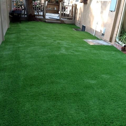 Artificial Grass Carpet Burton, Michigan Backyard Playground, Backyard