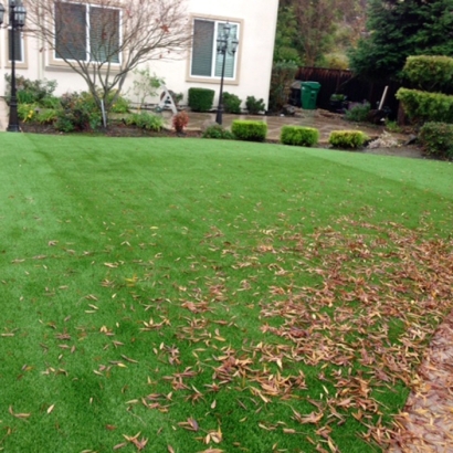 Artificial Grass Carpet La Verne, California Lawn And Garden, Backyard Design