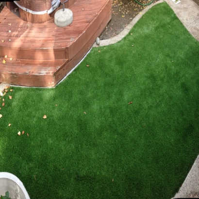 Artificial Grass Carpet New Bern, North Carolina Roof Top, Backyard Design