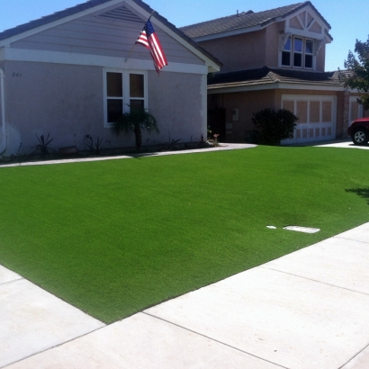 Artificial Grass Carpet Urbana, Illinois Backyard Playground, Front Yard Ideas