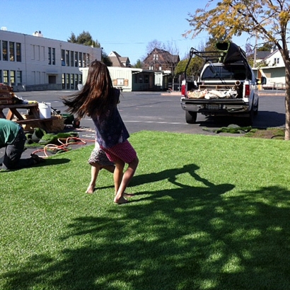 Artificial Grass Carpet Urbandale, Iowa Lawn And Garden, Commercial Landscape