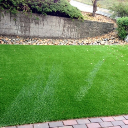 Artificial Grass Springfield, Virginia Landscape Design, Landscaping Ideas For Front Yard