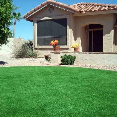 Artificial Lawn Galesburg, Illinois Backyard Playground, Front Yard Landscaping Ideas