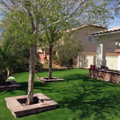 Artificial Lawn Riverton, Utah Gardeners, Front Yard Ideas