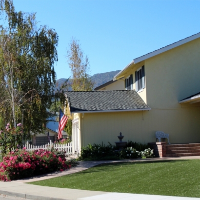 Artificial Lawn Winter Garden, Florida Landscape Photos, Front Yard Design