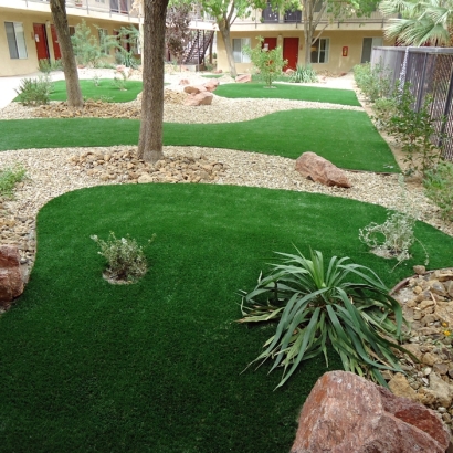 Artificial Turf Cost Bremerton, Washington Garden Ideas, Commercial Landscape