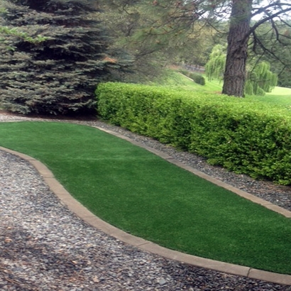 Artificial Turf Cost Brentwood Estates, Tennessee Home And Garden