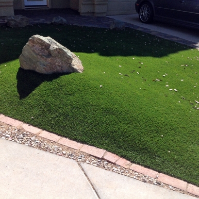 Artificial Turf Cost Dana Point, California Backyard Playground