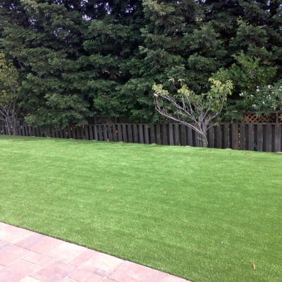 Artificial Turf Cost La Porte, Texas Lawn And Garden, Backyard Garden Ideas