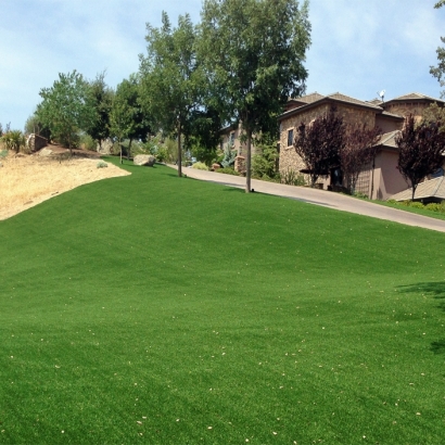 Artificial Turf Cost Littleton, Colorado Landscape Rock, Front Yard