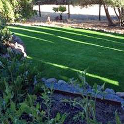 Artificial Turf Dover, Delaware Garden Ideas, Backyard Design