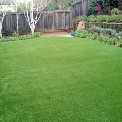 Artificial Turf Installation Lincoln Park, Michigan Design Ideas, Backyard Makeover