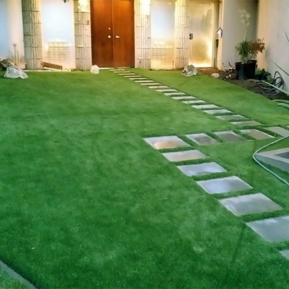 Artificial Turf Plant City, Florida Landscaping, Landscaping Ideas For Front Yard