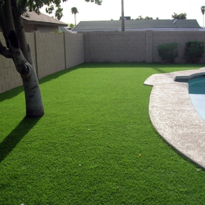 Best Artificial Grass Bell, California Garden Ideas, Backyards