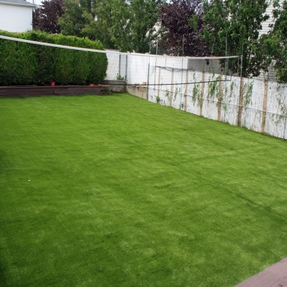 Best Artificial Grass La Puente, California Landscape Design, Backyard Landscaping Ideas