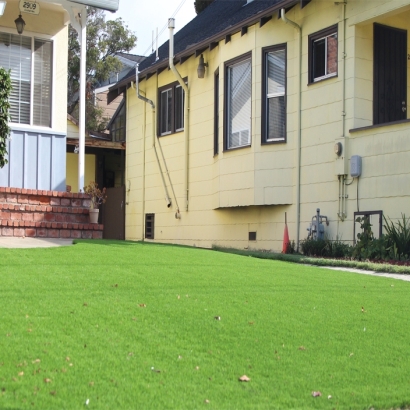 Best Artificial Grass West Lafayette, Indiana Gardeners, Front Yard