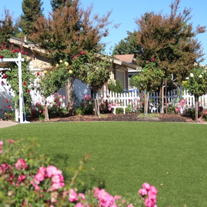 Best Artificial Grass Wildomar, California Rooftop, Front Yard