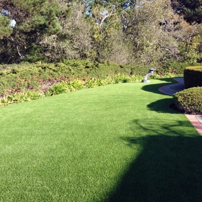 Fake Grass Carpet Beverly Cove, Massachusetts Design Ideas, Front Yard Design